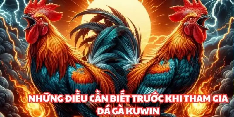 Những điều cần biết trước khi tham gia đá gà KUWIN