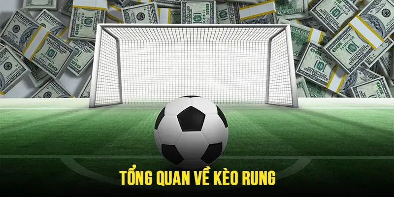 Tổng quan kèo rung