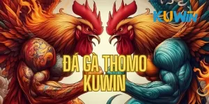 Đá gà Thomo