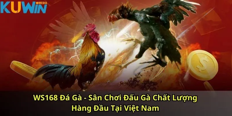 WS168 Đá Gà - Sân Chơi Chất Lượng Hàng Đầu Tại Việt Nam